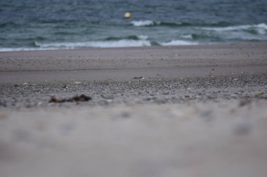 Okyanusa karşı yüzen küçük bir şamandırayla sahilin odak noktaları farklı.