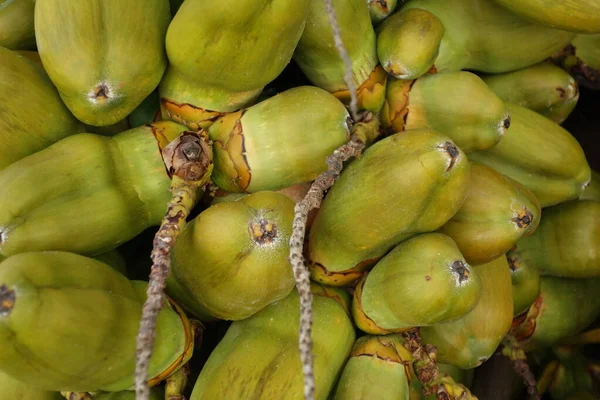 Green coconuts from below as a close up — 스톡 사진