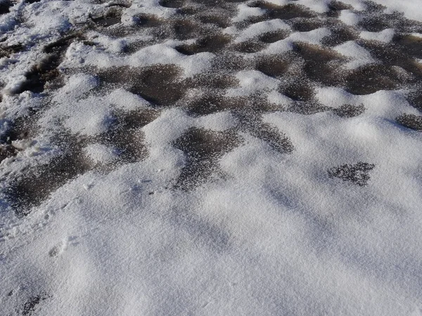 Close up of a frozen icy paddock bottom — Stock Photo, Image