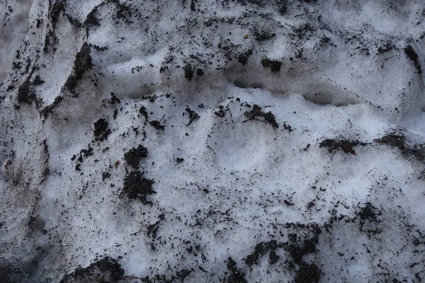 在拥挤的被污染的雪地上的特写镜头 — 图库照片