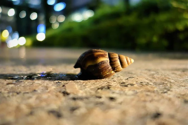 One big housing screw on a pathway at night — Stock Fotó