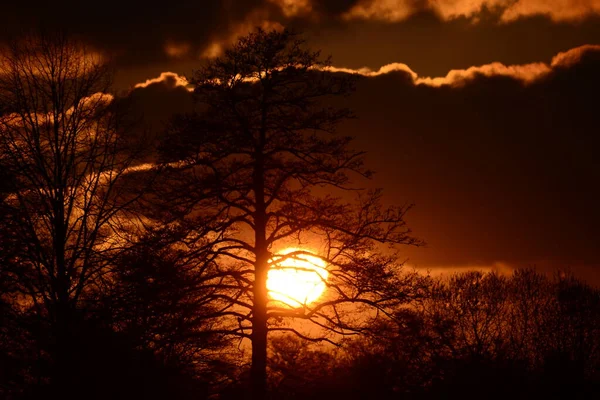 Beautyful dramatic sunset with trees in the foreground — Fotografia de Stock