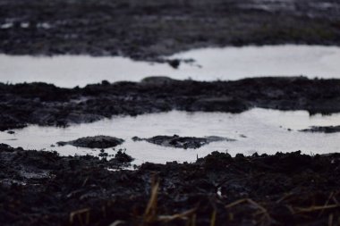 Kasvetli bir günde büyük bir su birikintisi