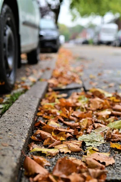 Autumn Leaves Road Blurred Cars Backgound — Stock Photo, Image