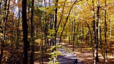 Sonbahar parkında uçan bir uçağın hava aracı görüntüsü. Park yolunun üzerinde uçuyor.