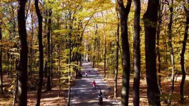 Sonbahar parkında uçan bir uçağın hava aracı görüntüsü. Park yolunun üzerinde uçuyor.