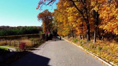Sonbahar parkındaki bir uçuşun insansız hava aracı görüntüsü.