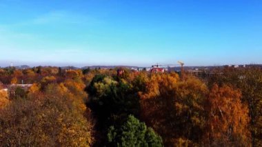 Sonbahar parkındaki bir uçuşun insansız hava aracı görüntüsü.
