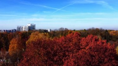 Sonbahar parkındaki bir uçuşun insansız hava aracı görüntüsü.