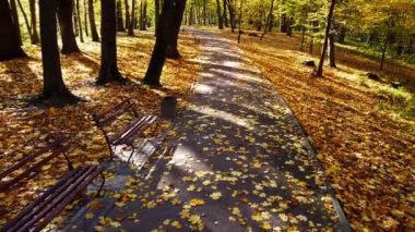 Sonbahar parkında uçan bir uçağın hava aracı görüntüsü. Park yolunda sonbahar yaprakları.