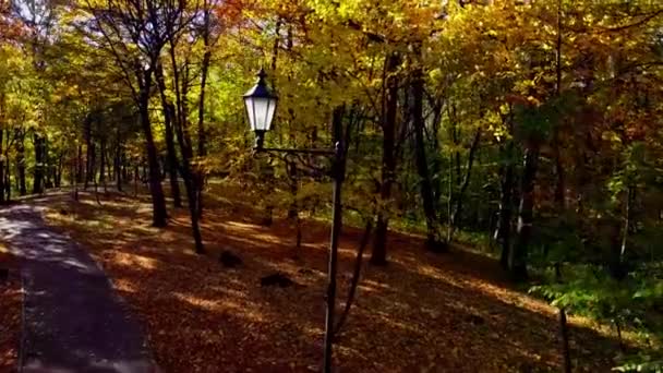 Воздушный Беспилотник Видом Полет Осеннем Парке Уличная Лампа Фоне Осенних — стоковое видео