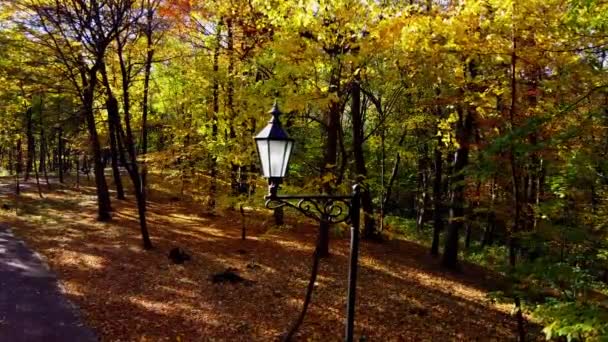 秋の公園での飛行の空中ドローンビュー 紅葉を背景にした街灯 — ストック動画