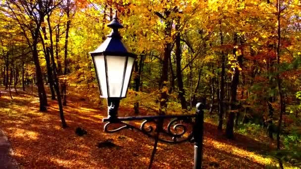 Luchtdrone Zicht Een Vliegende Het Herfstpark Straatlamp Een Achtergrond Van — Stockvideo