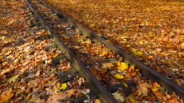 Στενή Σιδηροδρομική Γραμμή Καλυμμένη Φθινοπωρινά Φύλλα Σφενδάμου Σιδηροδρομικός Δρόμος — Αρχείο Βίντεο