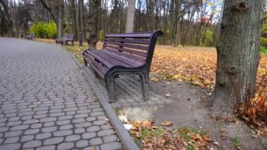 Parktaki banklar..