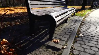 Bir park yolunda, güneşin arkasındaki ahşap bir bank. Sonbaharda çekim..