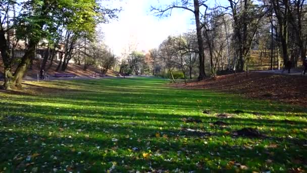 Sonbahar Parkında Düşen Yapraklar — Stok video