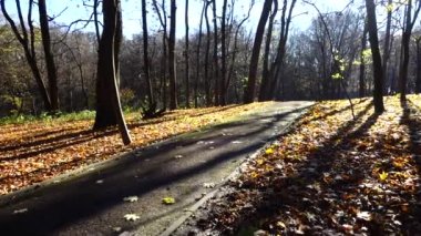 sonbahar Park yürüme yolu.