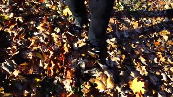 Μια Γυναίκα Περπατάει Πεσμένα Φθινοπωρινά Φύλλα Αργή Κίνηση — Αρχείο Βίντεο