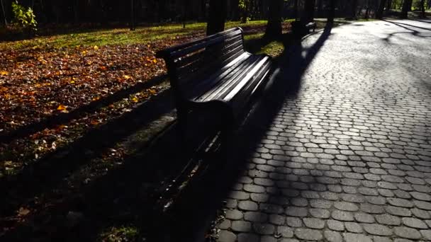 公園のパス上の太陽のバックライトに木製のベンチ 秋の銃撃戦 — ストック動画