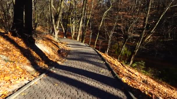 Pasarela Parque Otoño — Vídeos de Stock