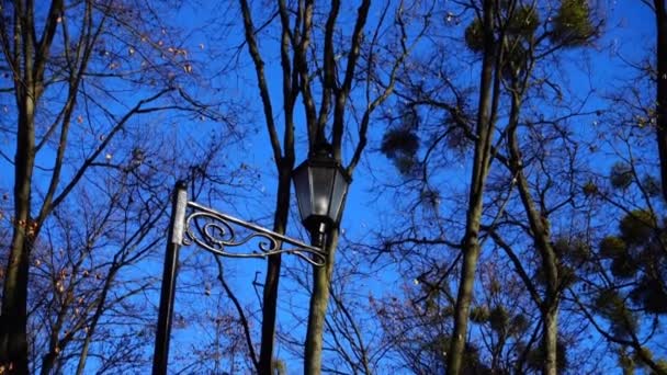 Λάμπα Του Δρόμου Ενάντια Στον Ουρανό Στο Πάρκο Φθινόπωρο — Αρχείο Βίντεο
