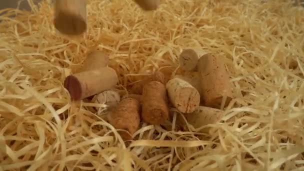 Falling Wine Corks Straw Slow Motion — Stock Video