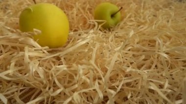 Çuval bezine samanla düşen elmalar. Yavaş çekim.