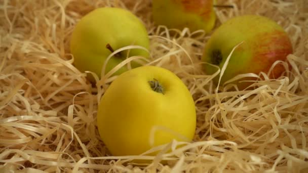 Fallende Äpfel Auf Einem Strohballen Zeitlupe — Stockvideo