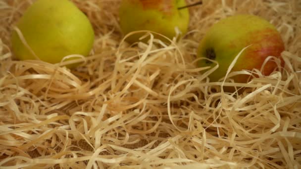 Fallende Äpfel Auf Einem Strohballen Zeitlupe — Stockvideo