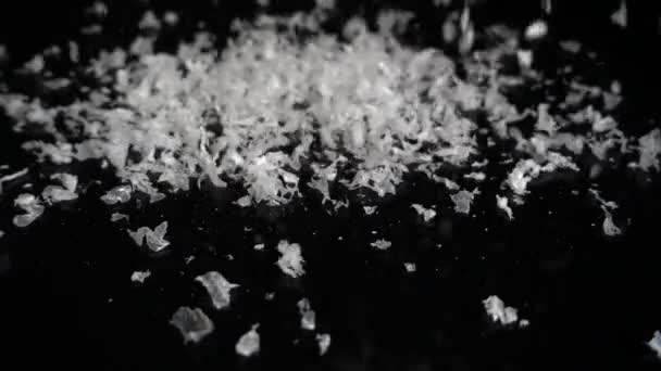 Padající Sníh Černý Zrcadlový Povrch Dekorativní Pozadí Zpomalený Pohyb — Stock video