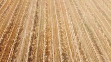 Kırsal tarım arazisinin üzerinde uçan bir dron görüntüsü.