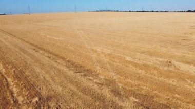 Kırsal tarım arazisinin üzerinde uçan bir dron görüntüsü.