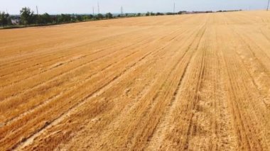 Kırsal tarım arazisinin üzerinde uçan bir dron görüntüsü.