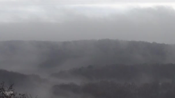 Herbstnebel Über Dem Wald — Stockvideo