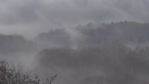 Nebbia Autunnale Sulla Foresta — Video Stock