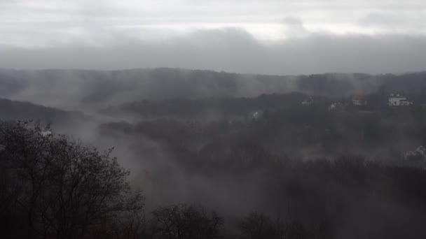 森の上の秋の霧 — ストック動画