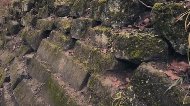 Altes Mauerwerk Mit Moos Bedeckt Dreharbeiten Herbst — Stockvideo