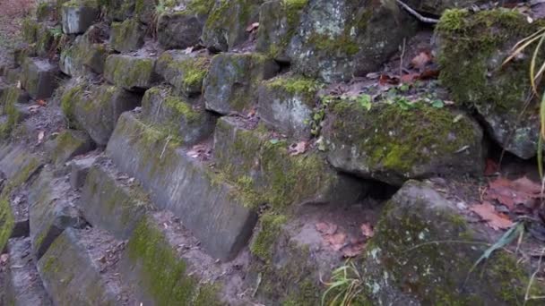 Altes Mauerwerk Mit Moos Bedeckt Dreharbeiten Herbst — Stockvideo