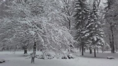 Kar fırtınası sırasında kış parkı.