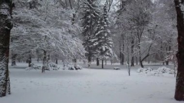 Kar fırtınası sırasında kış parkı.