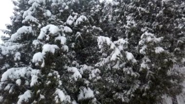 Kar fırtınası sırasında kış parkı.