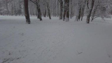 Kar fırtınası sırasında kış parkı.