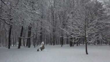 Kar fırtınası sırasında kış parkı.