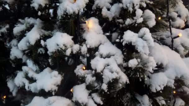 Parc d'hiver pendant un blizzard.