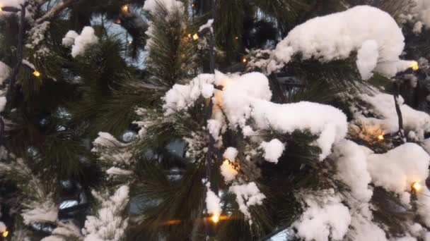 Parc d'hiver pendant un blizzard.