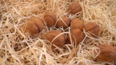 Cevizler saman ve eski ahşap vintage tahtanın üzerine düşer. Ağır çekim. Juglans regia.