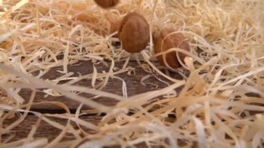 Cevizler saman ve eski ahşap vintage tahtanın üzerine düşer. Ağır çekim. Juglans regia.