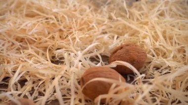 Cevizler saman ve eski ahşap vintage tahtanın üzerine düşer. Ağır çekim. Juglans regia.