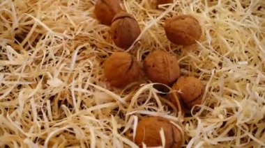 Cevizler saman ve eski ahşap vintage tahtanın üzerine düşer. Ağır çekim. Juglans regia.